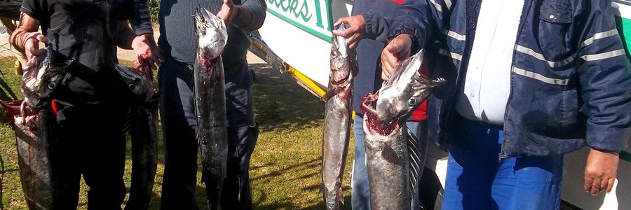 Min maar mooi! Van links, Bertus Prins en pa Jacques, dan skipper Jean Downing en langs hom, Johan Lubbe met hulle vangs. 